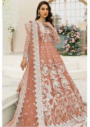 Butterfly Net With Embroidery Work Anarkali Pakistani Suit Brown Color DN 123