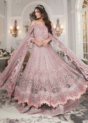 Butterfly Net With Embroidery And Sequence Work Pakistani Suit Chiku Color DN 126