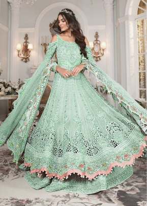 Butterfly Net With Embroidery And Sequence Work Pakistani Suit Pista Color DN 126