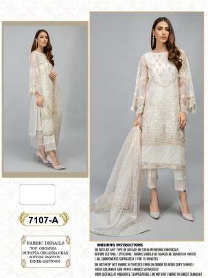 Designer Organza With Embroidery Work Pakistani Suit DN 7107 Catalog