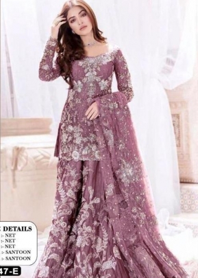 Designer Pakistani Suit DN 1047 Light Wine