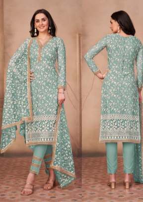 Diora Heavy Butterfly Net With Embroidered Chikankari Designer Suit Sky Color DN 224