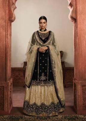 LT Nitya Vol 161 Salwar Kameez DN 6101 Black