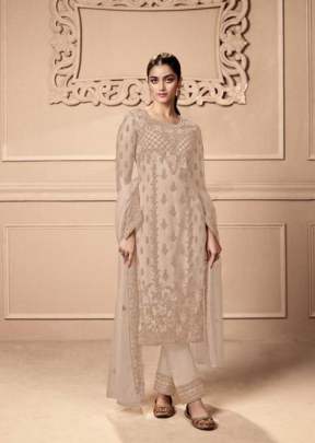 Swagat Swati Heavy Butterfly Net With Embroidery Work Long Designer Suit Cream Color DN 3501